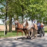 Zur Post Königstein in der Oberpfalz